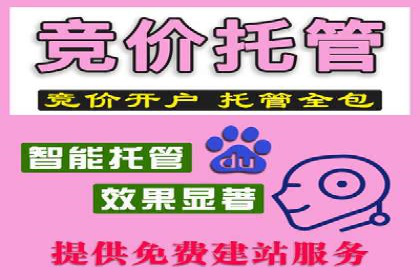 百度推广实战：案例分享与优化建议