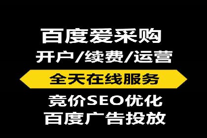 行业领先企业的SEM广告投放策略案例